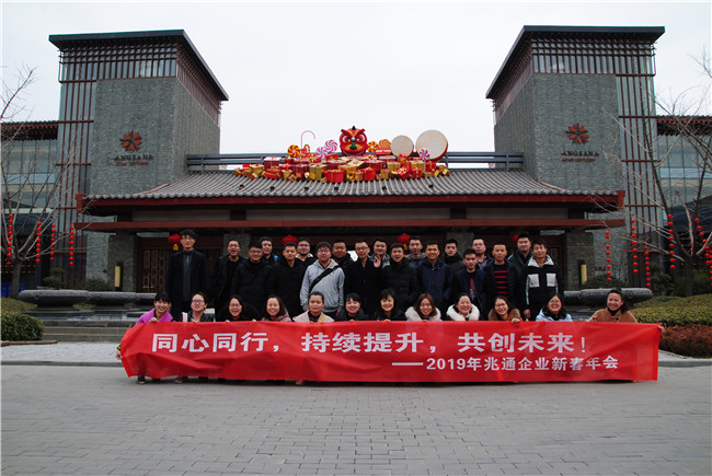 2019���´����